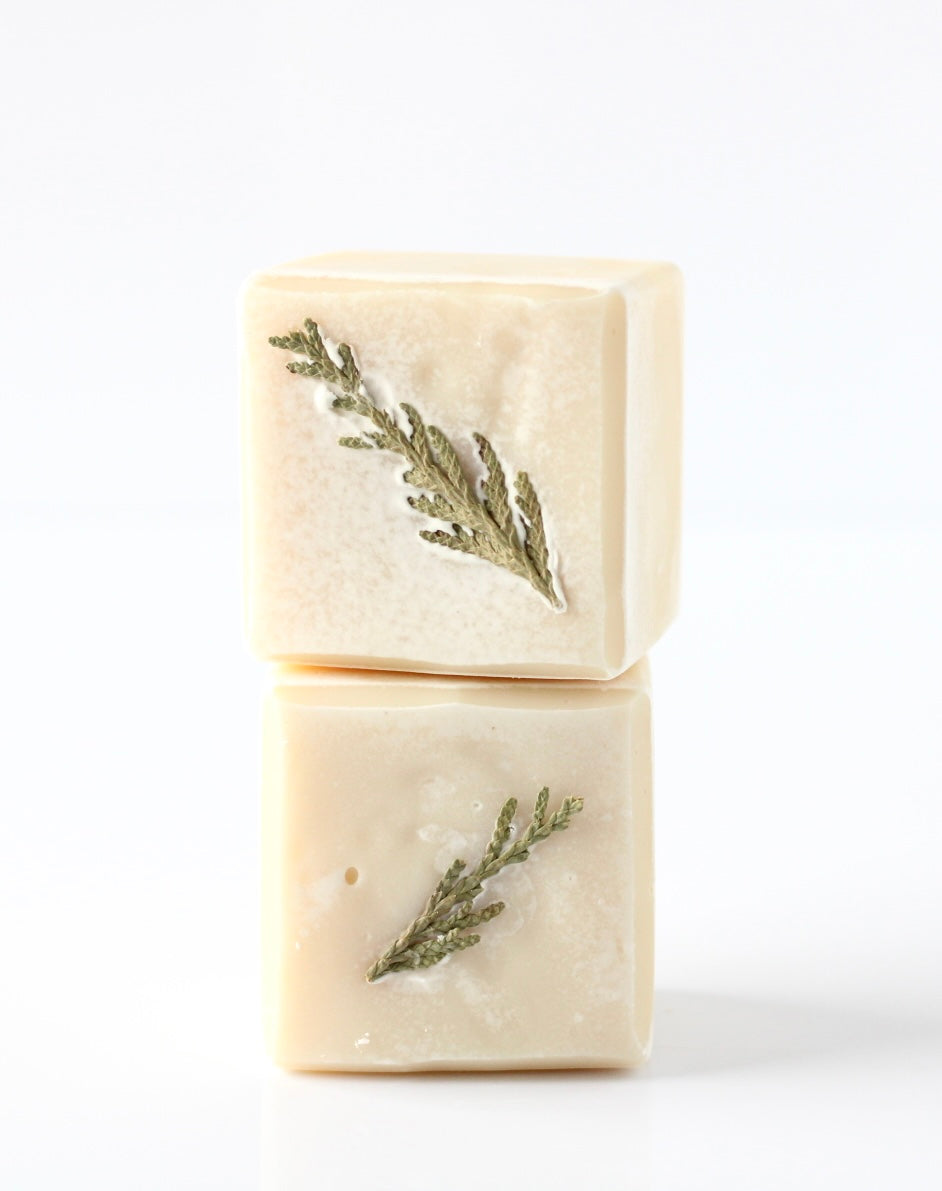 Cedar + Frosted Fir Nourishing Soap Bar