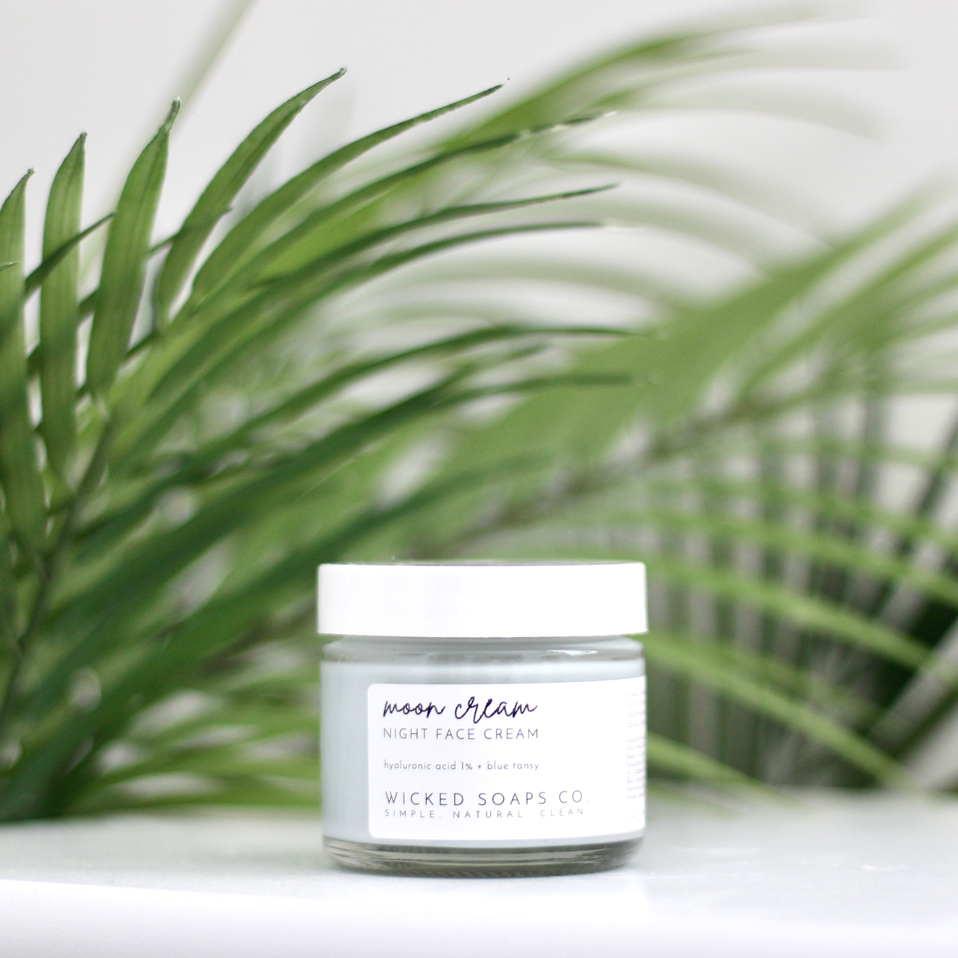 Moon Cream | Hyaluronic Acid Night Cream