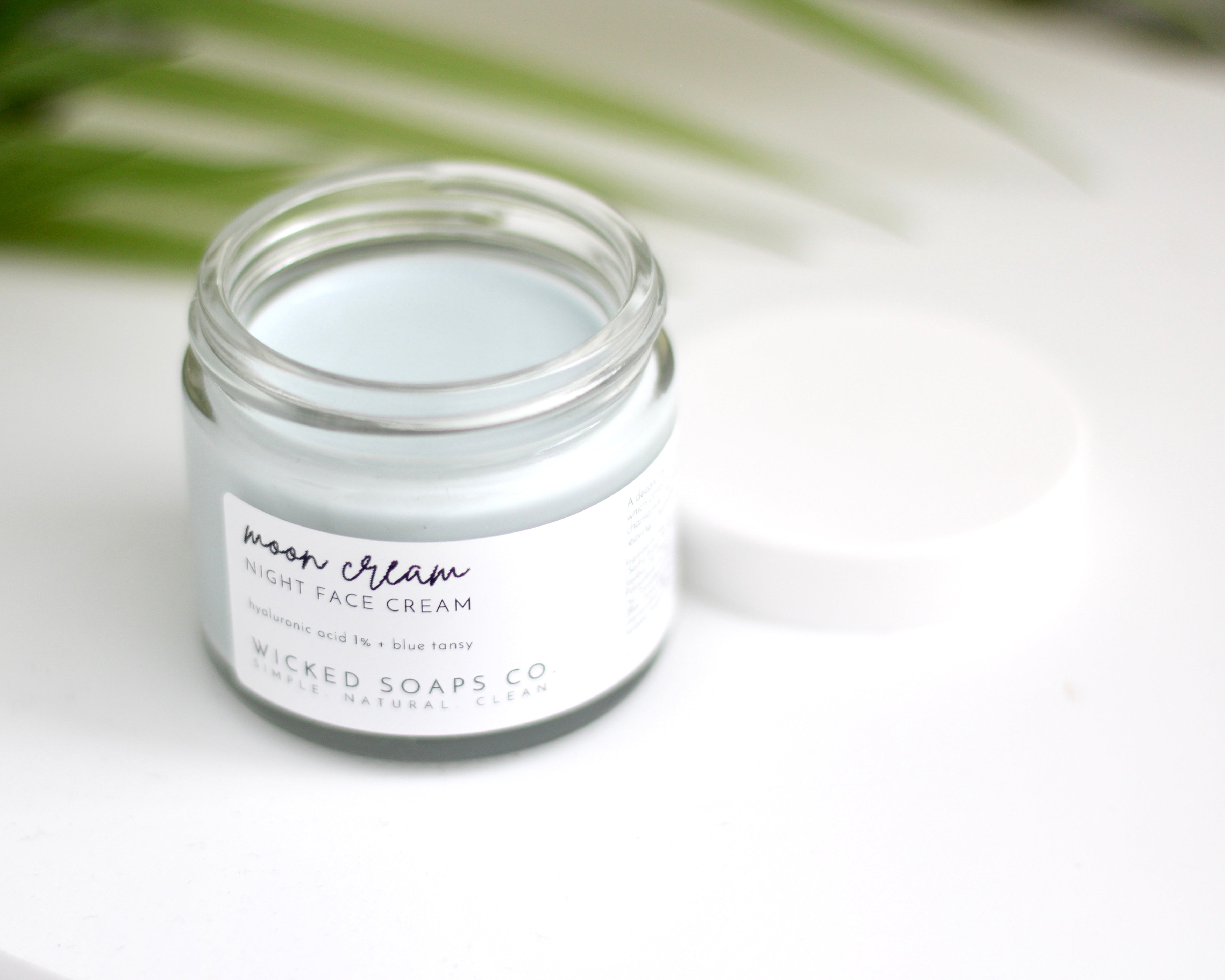 Moon Cream | Hyaluronic Acid Night Cream