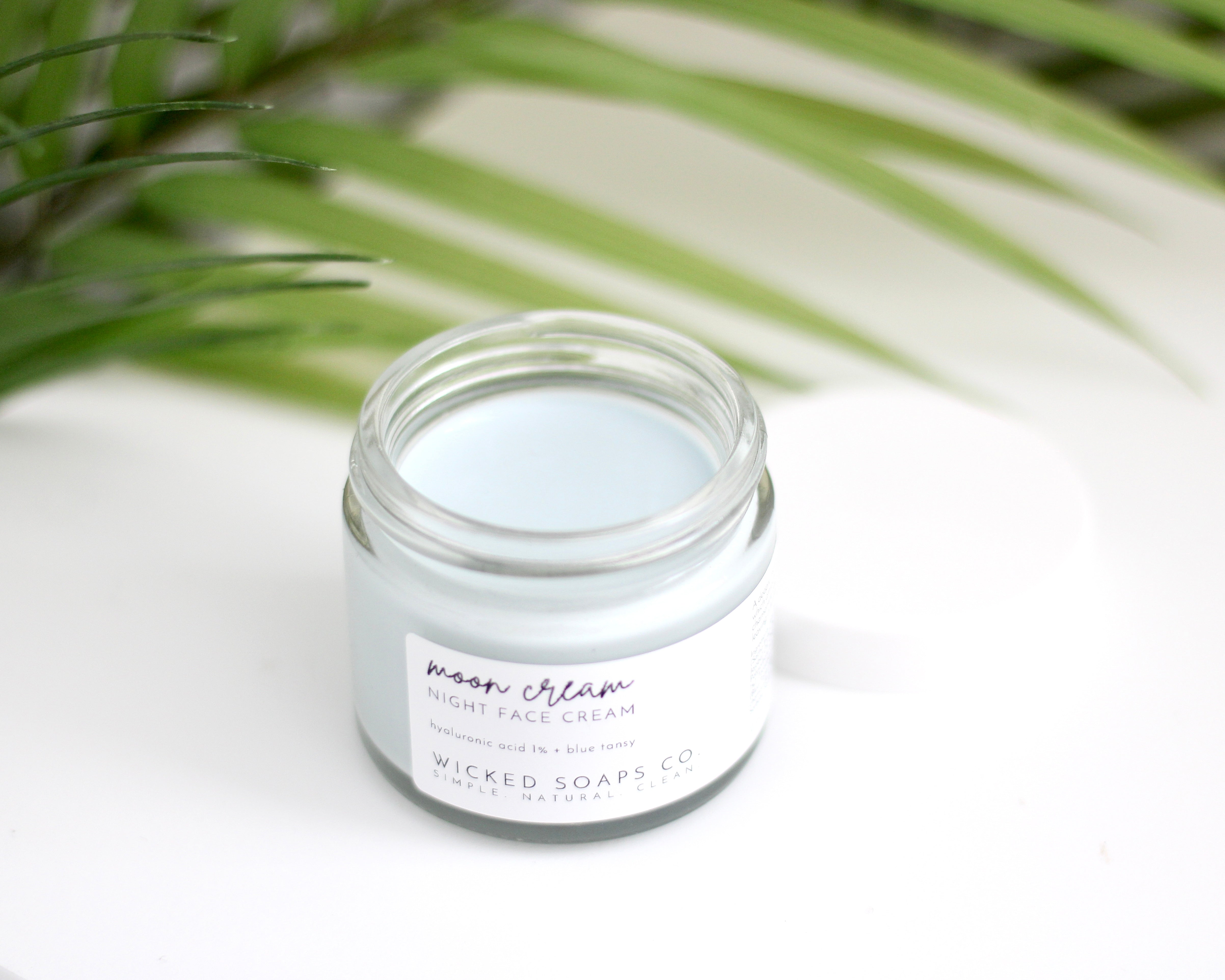 Moon Cream | Hyaluronic Acid Night Cream